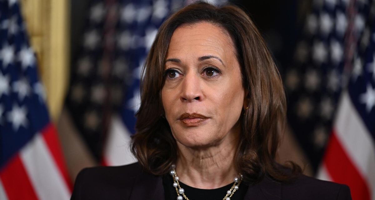 Harris califica redadas migratorias de Trump como parte de una “agenda cruel y calculada”