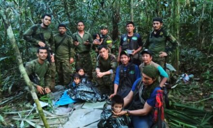 Niños perdidos en la selva regresaron a su hogar