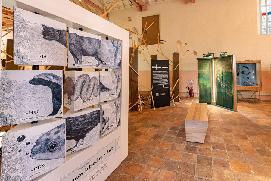 Inauguran primer museo experimental de biodiversidad del país en Villa de Leyva