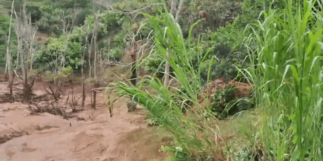 Derrumbe en Puerto Berrío deja incomunicadas a 800 familias campesinas