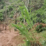 Derrumbe en Puerto Berrío deja incomunicadas a 800 familias campesinas