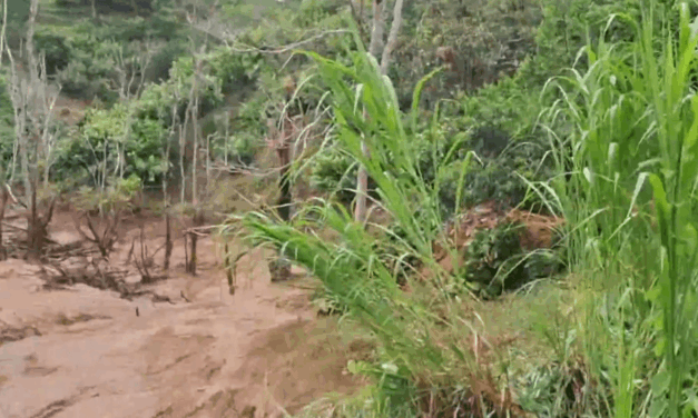 Derrumbe en Puerto Berrío deja incomunicadas a 800 familias campesinas