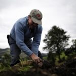 Gobierno presenta hoja de ruta para fortalecer el cultivo de papa en Boyacá