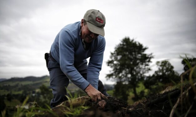 Gobierno presenta hoja de ruta para fortalecer el cultivo de papa en Boyacá