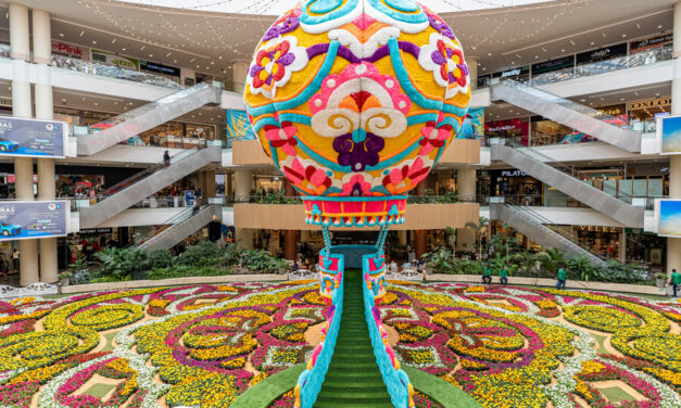 En Medellín inauguran el tapete de flores más grande del país