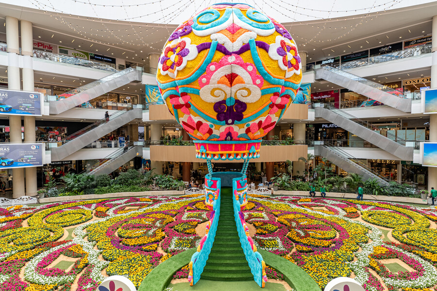 En Medellín inauguran el tapete de flores más grande del país