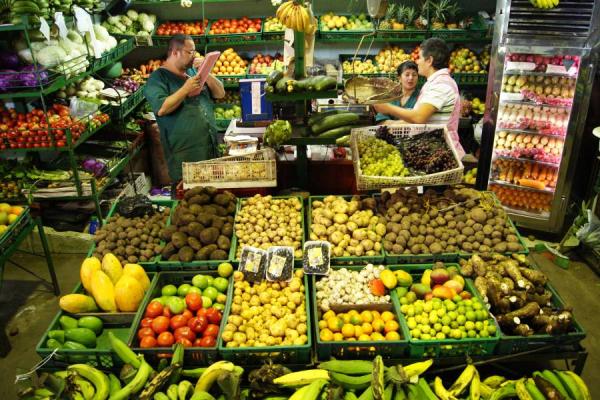 Zanahoria, café y huevo al alza: así se movieron los precios mayoristas en junio de 2025