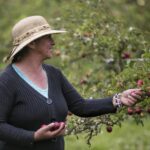 Más de 990 campesinos del Catatumbo accedieron a seguros 100% subsidiados