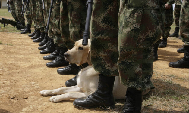 Ejercito abrió investigación por denuncias de militares consumiendo drogas