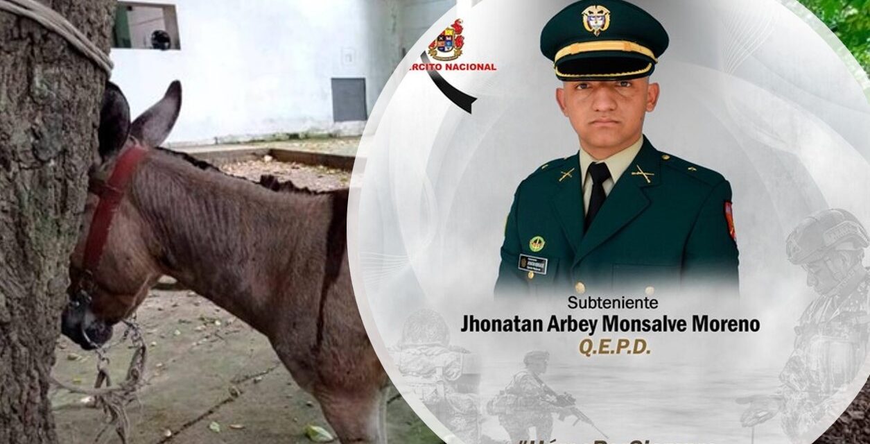 Lo que se sabe del atentado con burro bomba en Valdivia