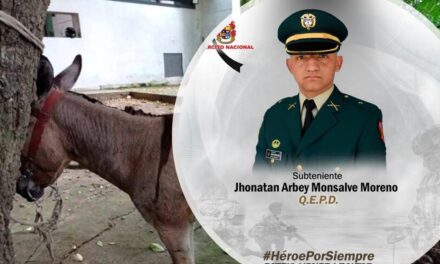 Lo que se sabe del atentado con burro bomba en Valdivia