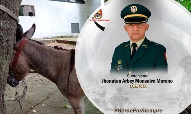 Lo que se sabe del atentado con burro bomba en Valdivia