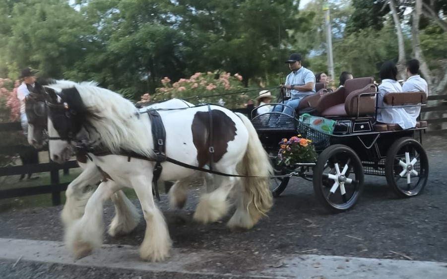 Santa Fe de Antioquia recibirá el Gran Desfile a Caballo 2025
