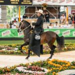 Rionegro será sede de la 66ª Expointernacional Equina en el marco de la Feria de las Flores 2025
