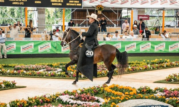 Rionegro será sede de la 66ª Expointernacional Equina en el marco de la Feria de las Flores 2025