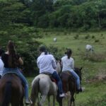 Incrementa el número de turistas extranjeros en Colombia