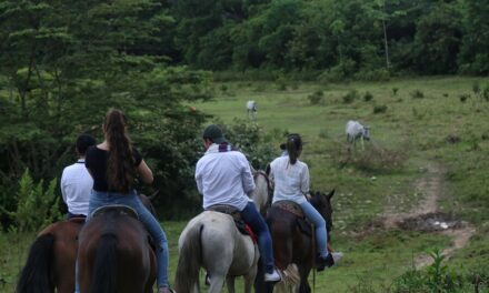 Incrementa el número de turistas extranjeros en Colombia