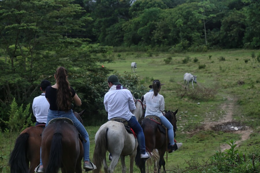 Incrementa el número de turistas extranjeros en Colombia