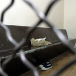 Más de 6 mil adolescentes ingresaron al sistema penal en 2024