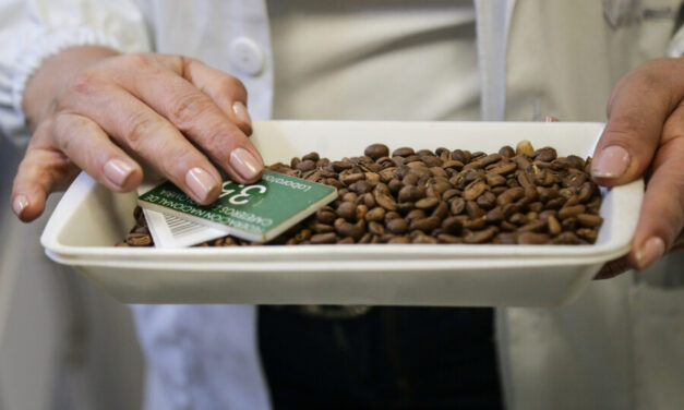 Producción de café en julio fue la más alta en 10 años para ese mes