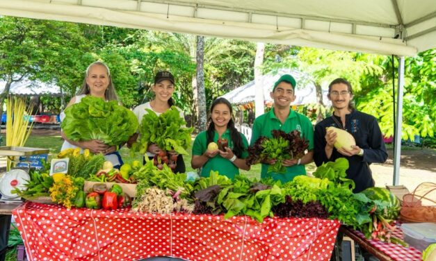 Regresa el Bazar de la Confianza: Medellín vivirá su edición 24