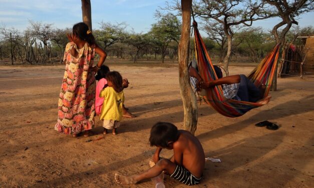 Declaran bajo cumplimiento del Gobierno con alimentación de niñes Wayuu