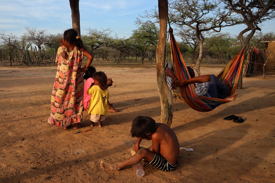 Declaran bajo cumplimiento del Gobierno con alimentación de niñes Wayuu