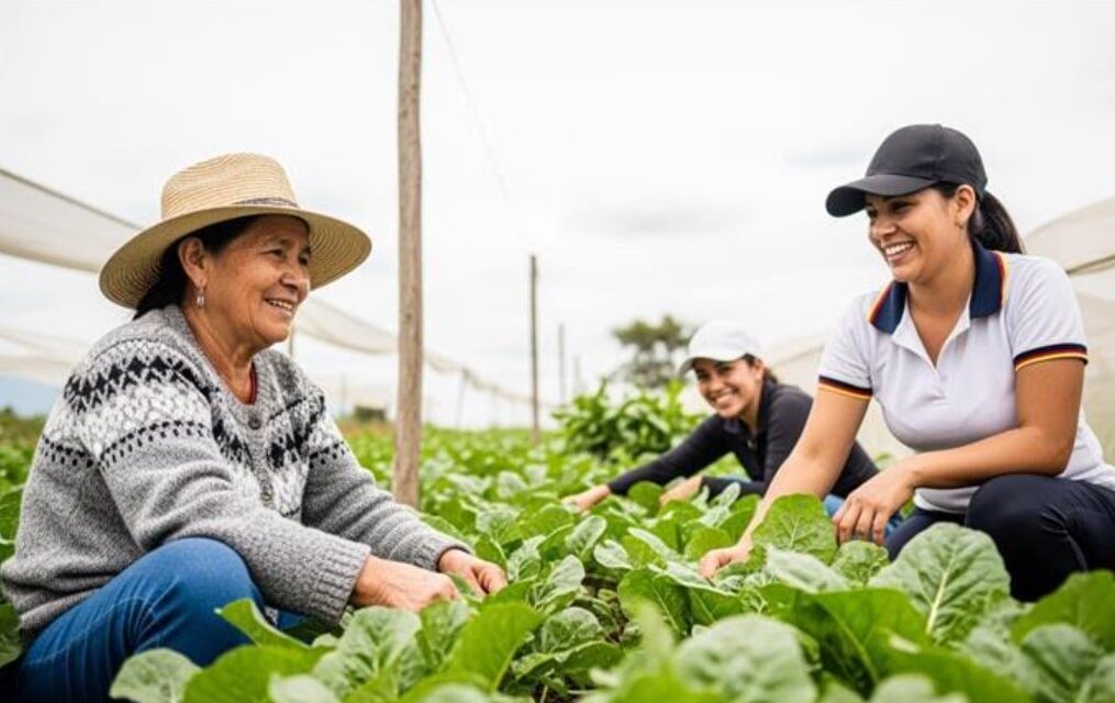 Banco Agrario lidera colocación de créditos agropecuarios en Colombia