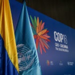 Investigan 13 hoteles en Cali por presuntas prácticas anticompetitivas en la COP16