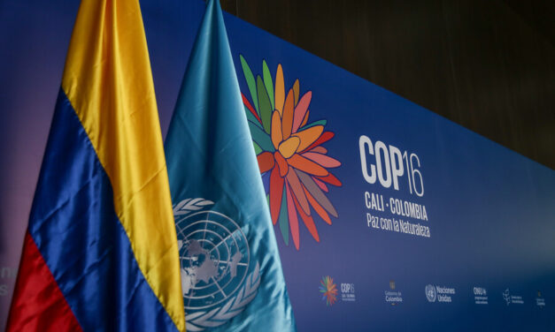 Investigan 13 hoteles en Cali por presuntas prácticas anticompetitivas en la COP16
