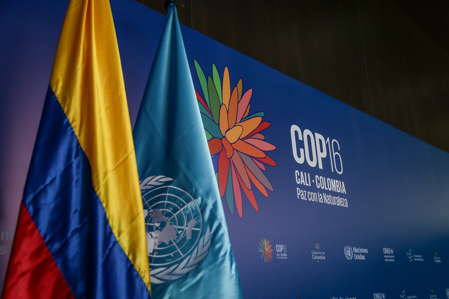 Investigan 13 hoteles en Cali por presuntas prácticas anticompetitivas en la COP16