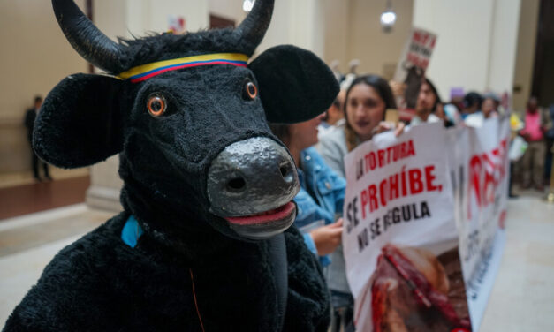 Colombia dice adiós a las corridas y peleas de animales