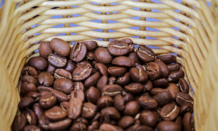 Producción de café de los últimos 12 meses supero 14 millones de sacos