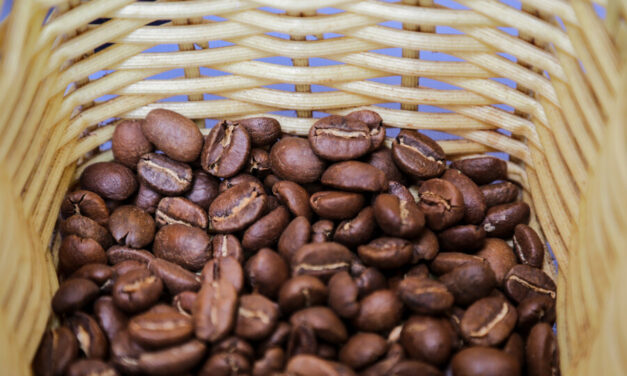 Producción de café de los últimos 12 meses supero 14 millones de sacos