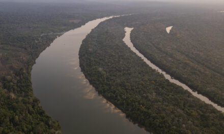 La Amazonía evapora 20.000 millones de toneladas de agua al día