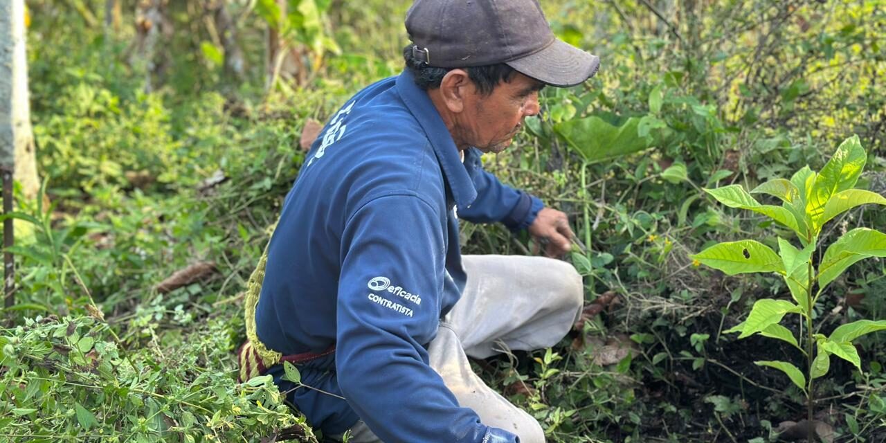 Campesinos y autoridades del Tolima rechazan Áreas de Protección para Alimentos