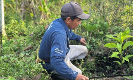 Campesinos y autoridades del Tolima rechazan Áreas de Protección para Alimentos