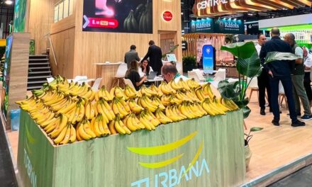 El banano colombiano destaca su producción sostenible e impacto social en Fruit Attraction
