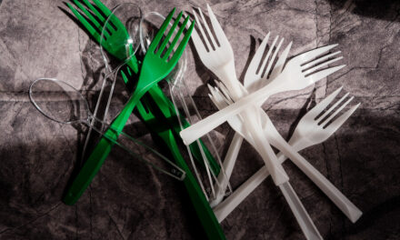 Medellín enfrenta el reto de 2.000 toneladas de basura al día: la economía circular se abre paso