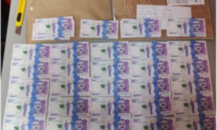 Desmantelan a “Los Nómadas”, una red criminal que comercializaba divisas falsas a gran escala