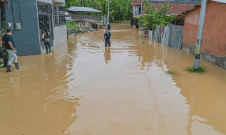 Un niño murió y 300 familias resultaron afectadas por las lluvias en Vegachí, Antioquia