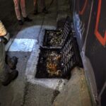 Medellín refuerza limpieza de alcantarillado para evitar inundaciones durante la temporada de lluvias