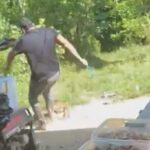 Fernando Oviedo involucrado en agresión a canino quedó en libertad