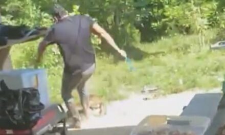 Fernando Oviedo involucrado en agresión a canino quedó en libertad