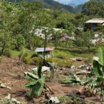 ¡Urgente! Reportan tres muertos y dos heridos por deslizamientos en Pueblorrico, Antioquia