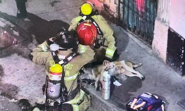 Bomberos rescatan a un perro de un incendio en el centro de Medellín