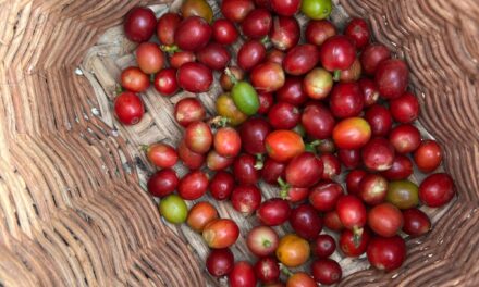 Federación de Cafeteros inaugura el tercer Centro de Industrialización Regional de Café en Santander