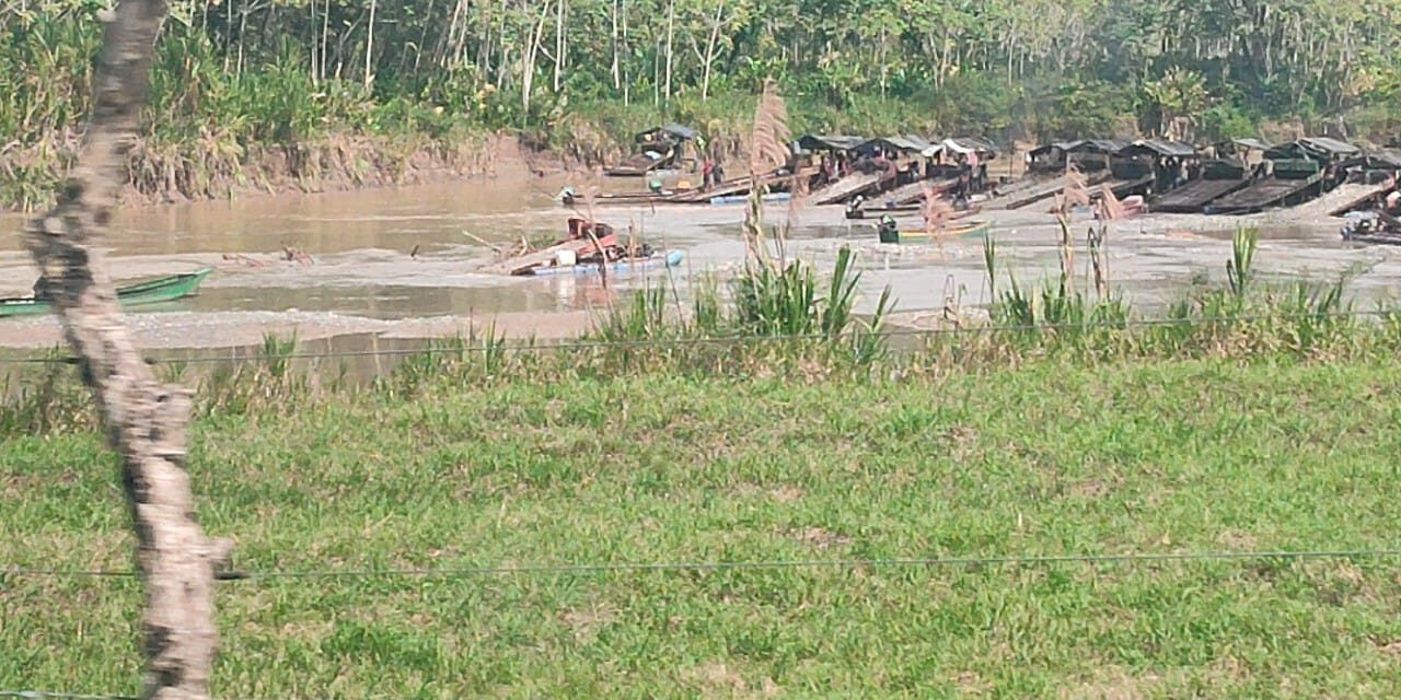 Desmantelan 10 unidades mineras usadas para explotación ilícita en Cáceres, Antioquia