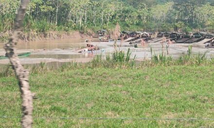 Desmantelan 10 unidades mineras usadas para explotación ilícita en Cáceres, Antioquia