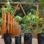 Universidades colombianas se unen a estrategia para fortalecer la economía circular en la cuenca del río Bogotá